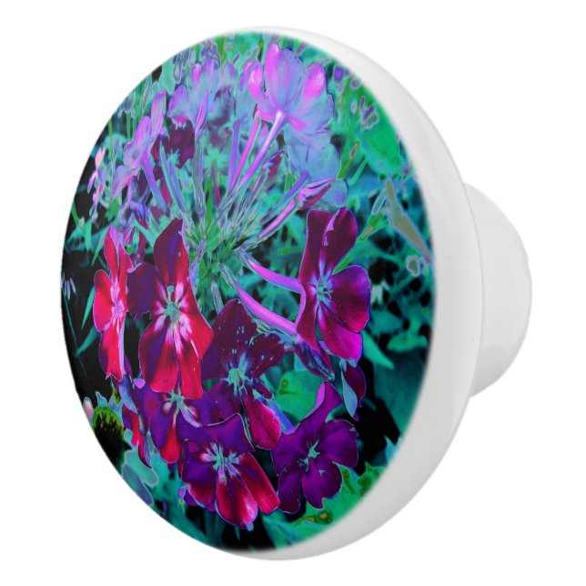 Dramatic Red, Lila and Rosa Garden Flower Knopp (Höger)