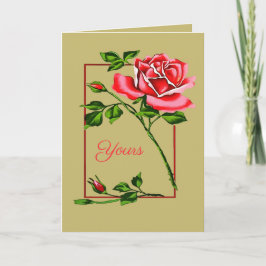 Dramatic Single Red Rose With Border Kort