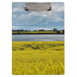 Dramatic Streatham Beauty