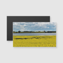 Dramatic Streatham Beauty Magnetic Card