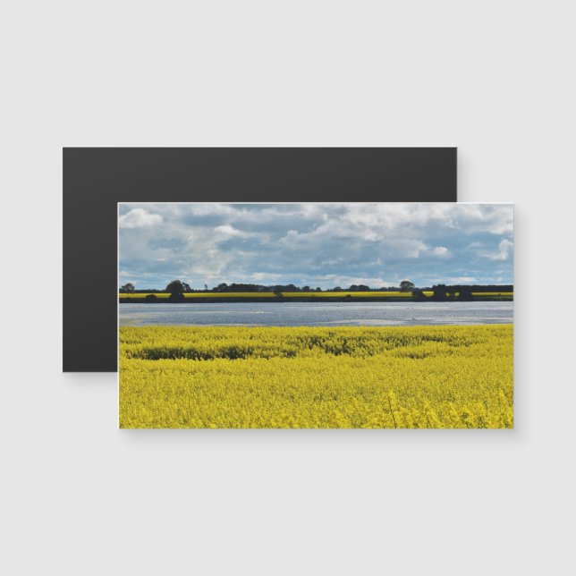 Dramatic Streatham Beauty Magnetic Card (Fram/baksida)