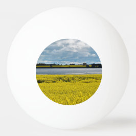 Dramatic Streatham Beauty Pingisboll