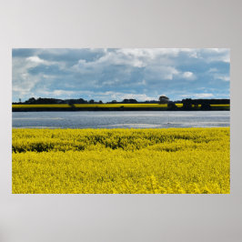 Dramatic Streatham Beauty Poster
