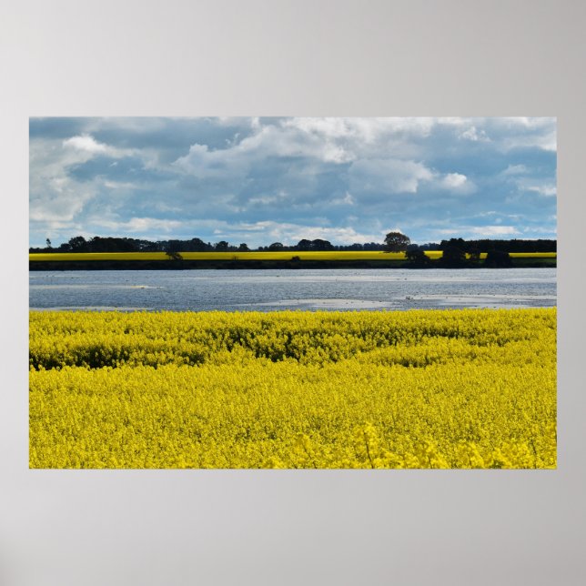 Dramatic Streatham Beauty Poster (Framsidan)