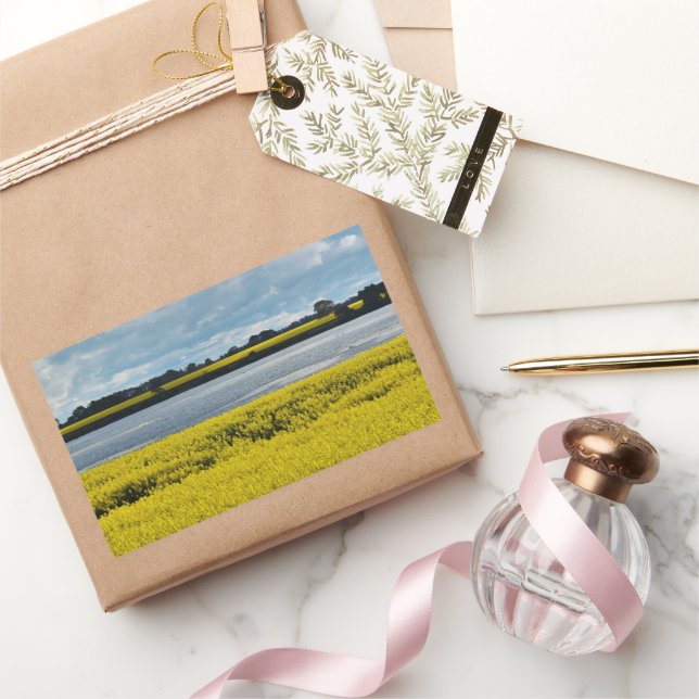 Dramatic Streatham Beauty Rektangulärt Klistermärke (Gifting)