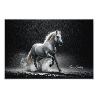 Dramatic White Horse Galloping in Rain Fototryck