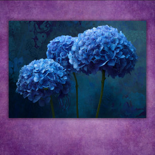 Dramatisk Djärvt Blå Hortensia Blomma Botanisk Poster