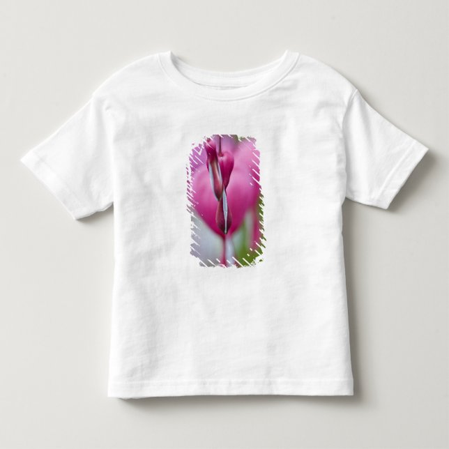 Dramatisk färg och form av blödande hjärta t shirt (Framsida)