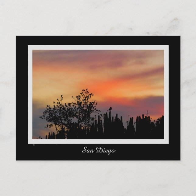 Dramatisk orange för solnedgångfågelSan Diego Vykort (Framsida)
