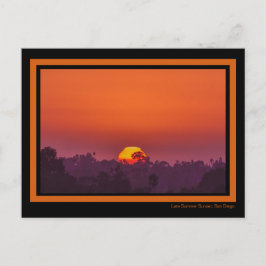 Dramatisk Orange Sunset Handflatan Träd Sol Rosa,  Vykort