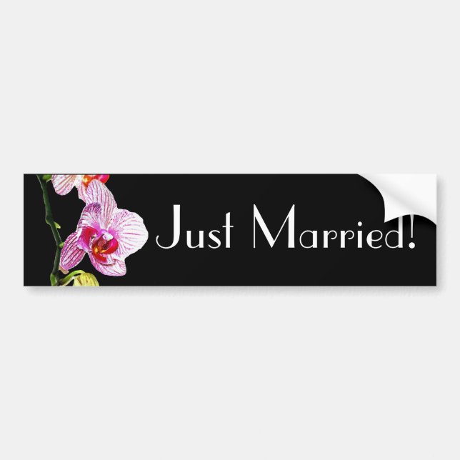 Dramatisk orchid - Ny gifta Bumper Sticker Bildekal (Framsidan)