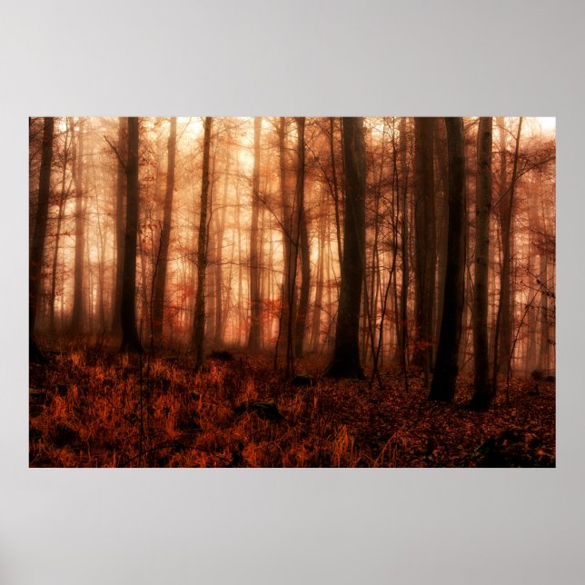 Dramatisk röd dimmig vintersnölös skog poster (Framsidan)
