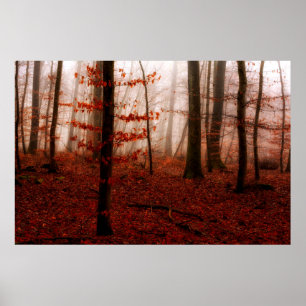 Dramatisk röd dimmig vintersnölös skog poster