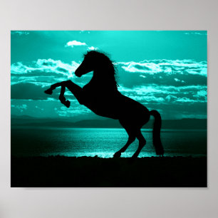 Dramatisk svart häst teal himmel fredlig  poster