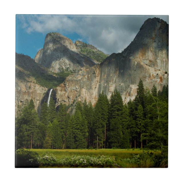 Dramatisk utsikt över Yosemite Valley från Gates Kakelplatta (Framsidan)