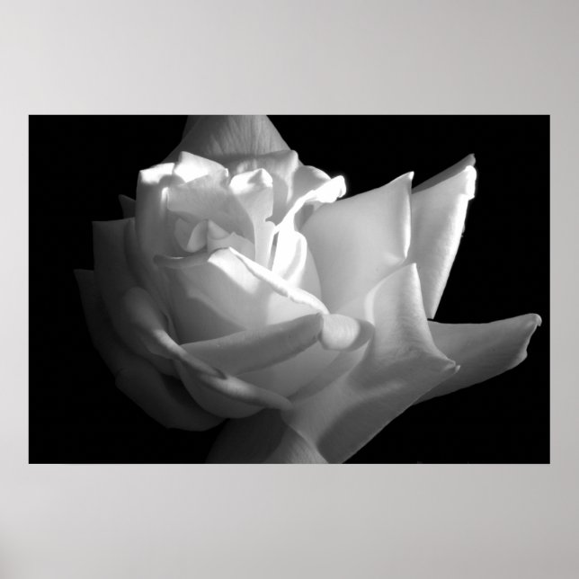 Dramatisk utskrift av Ro Poster (Framsidan)