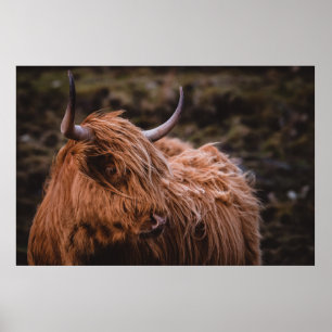 DRAMATISKA OCH MOODY LANDSCAPES SOM INSPIERATS AV POSTER