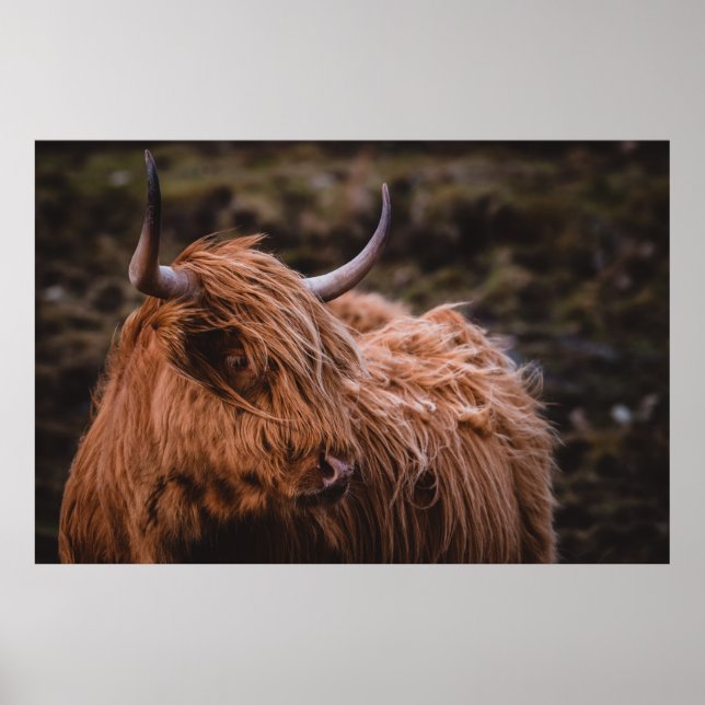 DRAMATISKA OCH MOODY LANDSCAPES SOM INSPIERATS AV  POSTER (Framsidan)