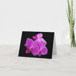 Dramatiska purpurfärgade orchids på en svart vek kort