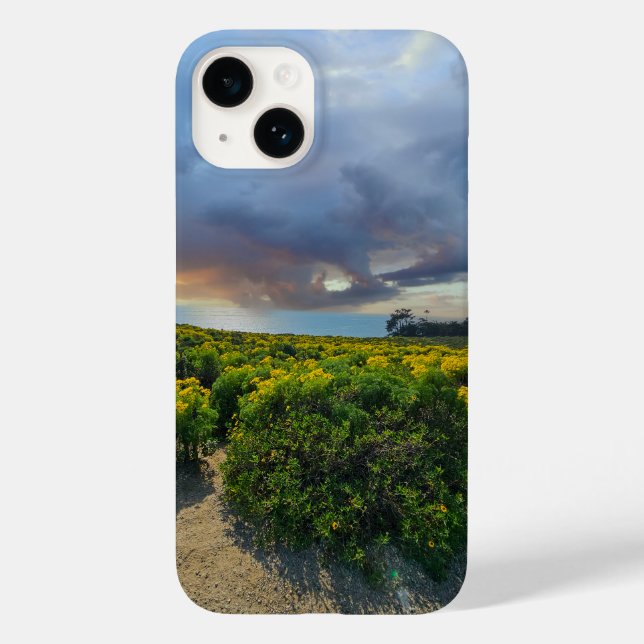 Dramatiskt Himmel vid solnedgång vid punktdamm (Baksida)