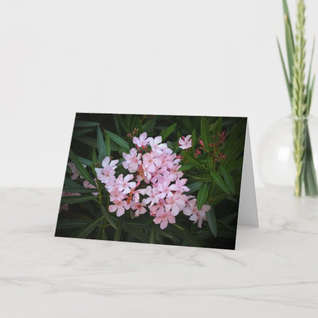Dramatiskt Rosa Flowers Photographic Art Note Card Kort (Framsida)