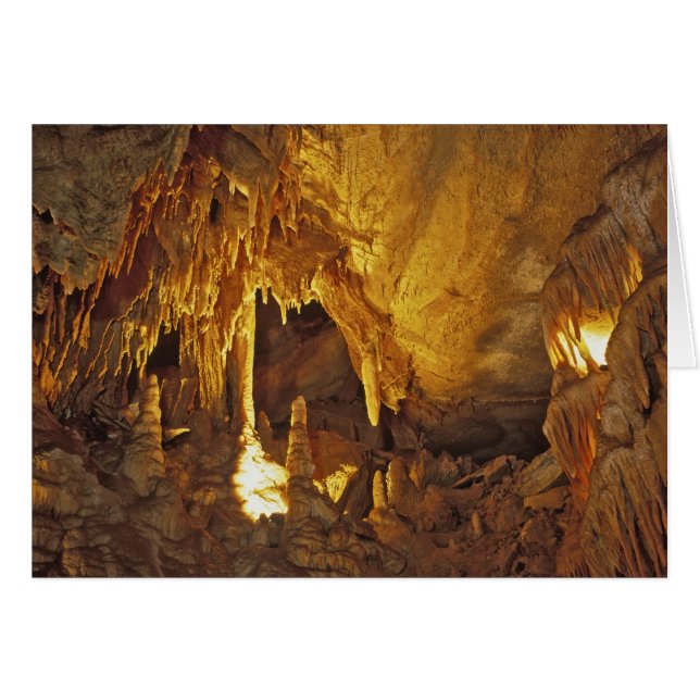 Draperisal, Mammoth Cave National Park, Hälsningskort (Framsidan Horizontal)