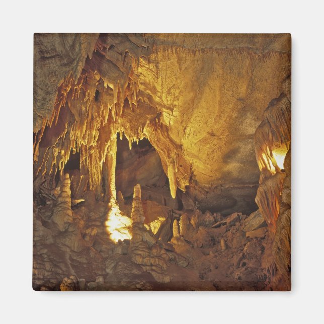 Drapery Room, Mammoth Cave National Park Magnet (Framsidan)