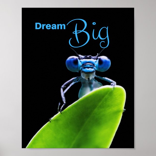 Dream Big Dragonfly Motivational Matt Poster (Framsidan)