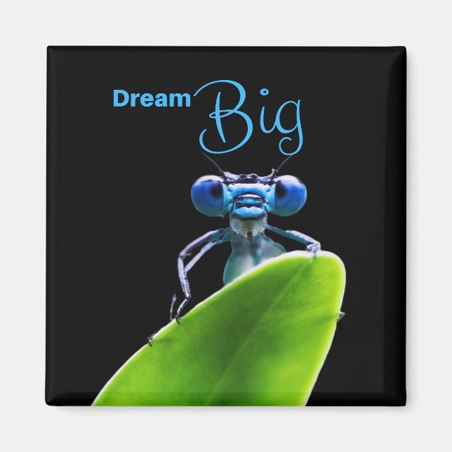 Dream Big Dragonfly Motivational Quote Magnet (Framsidan)