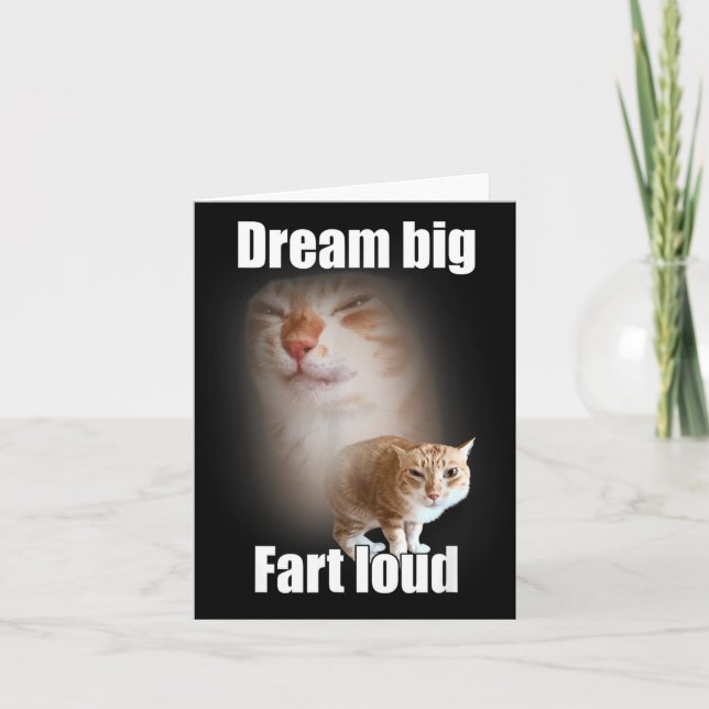Dream Big Fart Loud Cat Meme Funny Saying  Kort (Framsida)