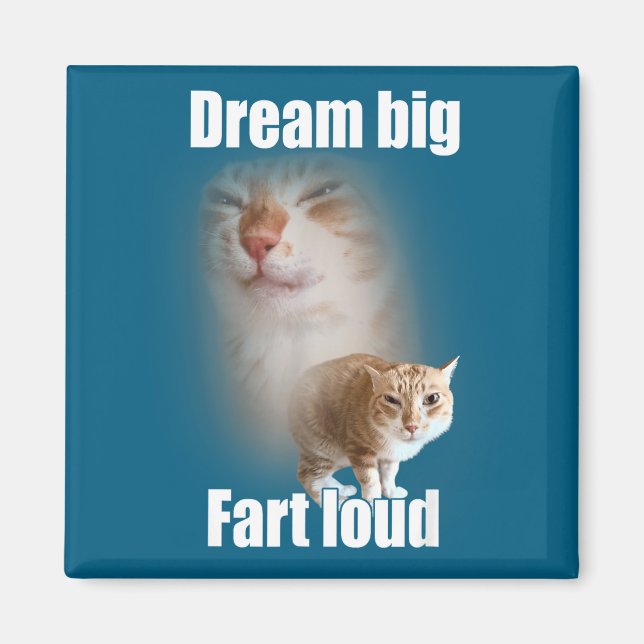 Dream Big Fart Loud Cat Meme Funny Saying  Magnet (Framsidan)