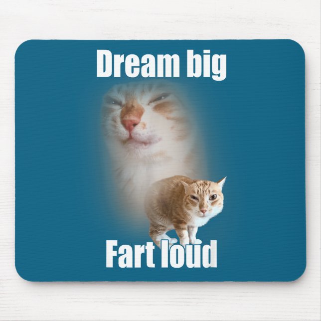 Dream Big Fart Loud Cat Meme Funny Saying  Musmatta (Framsidan)