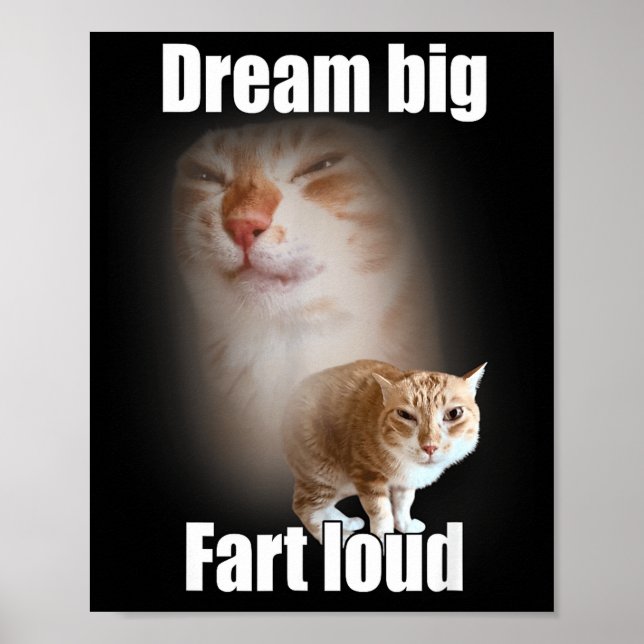 Dream Big Fart Loud Cat Meme Funny Saying  Poster (Framsidan)