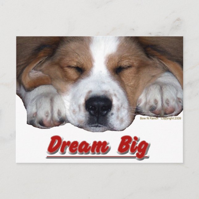 Dream Big Hund Vykort (Framsida)