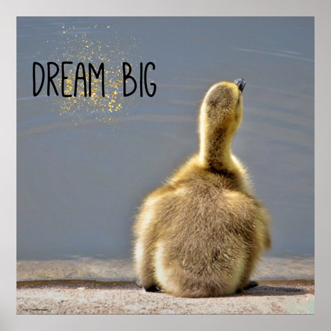 Dream Big Motivational Poster (Framsidan)