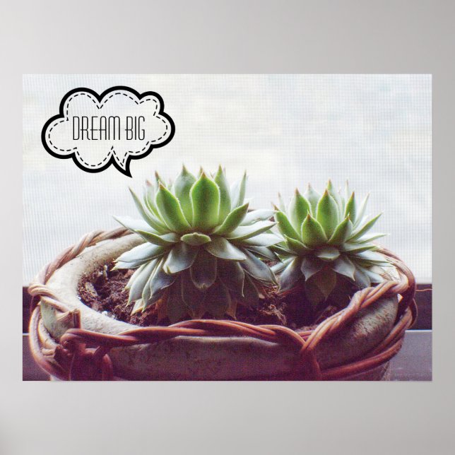 Dream Big Phrase Succulent Poster (Framsidan)