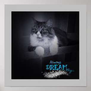 Dream Big Poster alltid
