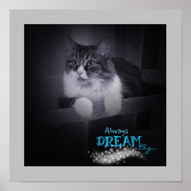 Dream Big Poster alltid (Framsidan)