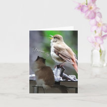 Dream Big Ragdoll Cat Bird Note Card
