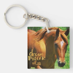 Dream Bigger Horse