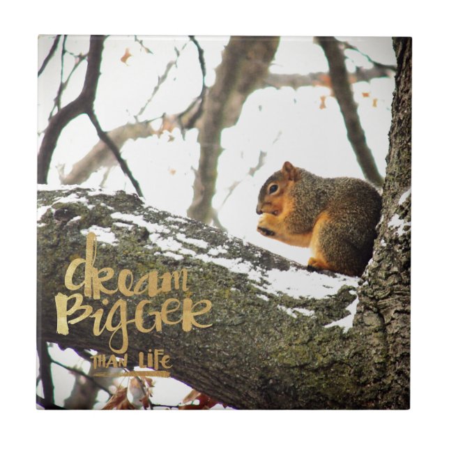 Dream Bigger than Life Squirrel Kakelplatta (Framsidan)