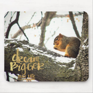 Dream Bigger than Life Squirrel Musmatta