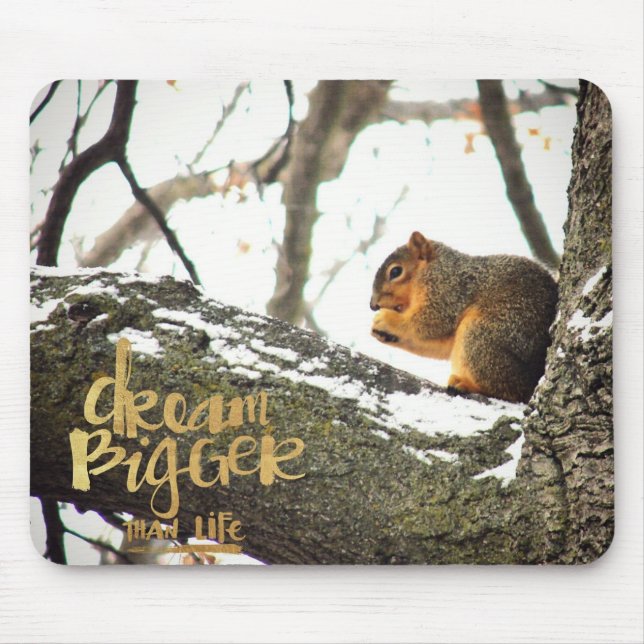 Dream Bigger than Life Squirrel Musmatta (Framsidan)