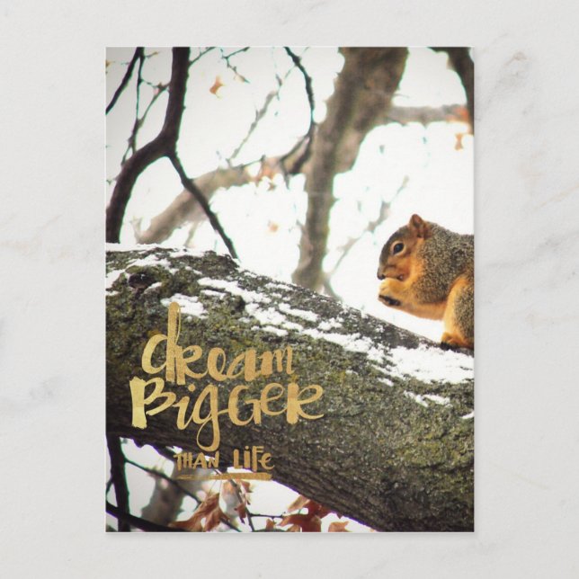 Dream Bigger than Life Squirrel Vykort (Framsida)