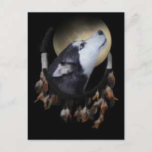 Dream catcher och blåögd Husky Vykort