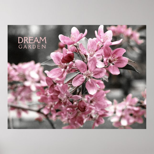 Dream Garden Poster (Framsidan)