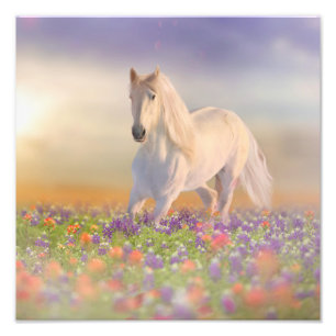 Dream-häst som rinner genom fält av rosa blommor fototryck
