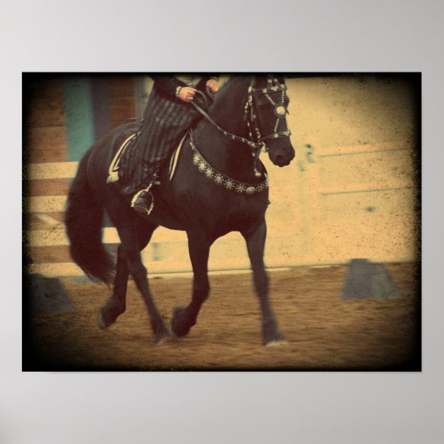 Dream Horse Friesian Dressage Poster (Framsidan)