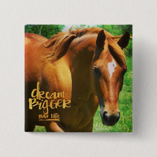 Dream Horse Knapp