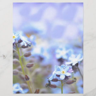 Dream i Blue